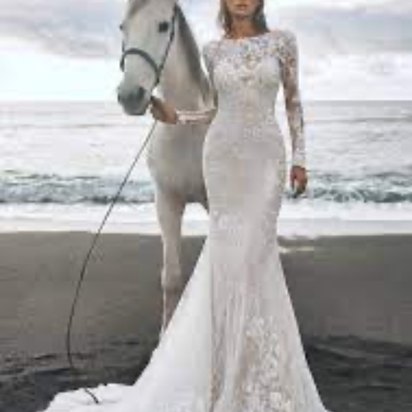 Pronovias Privee Panjin Wedding Dress - Picture 13 of 13